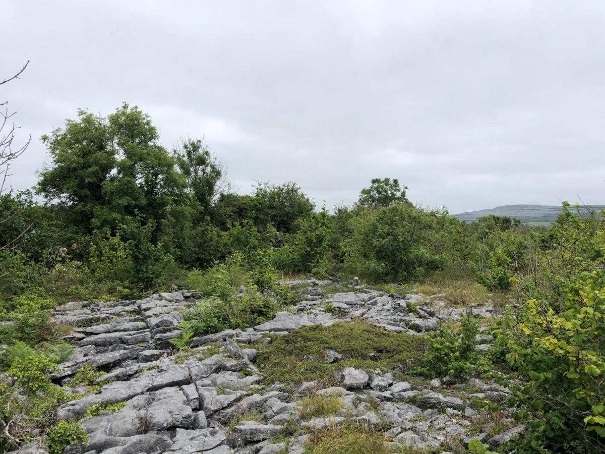 Villa Teach Talamh Kinvara Exterior foto
